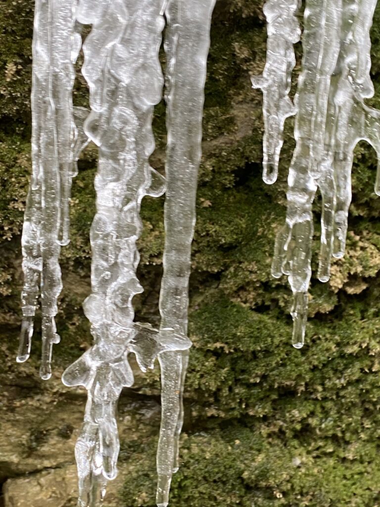 Icicles hanging.