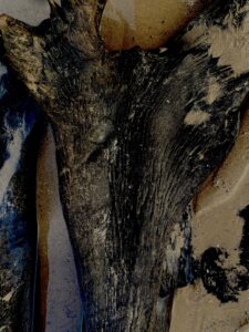 A close up of a petrified piece of wood.