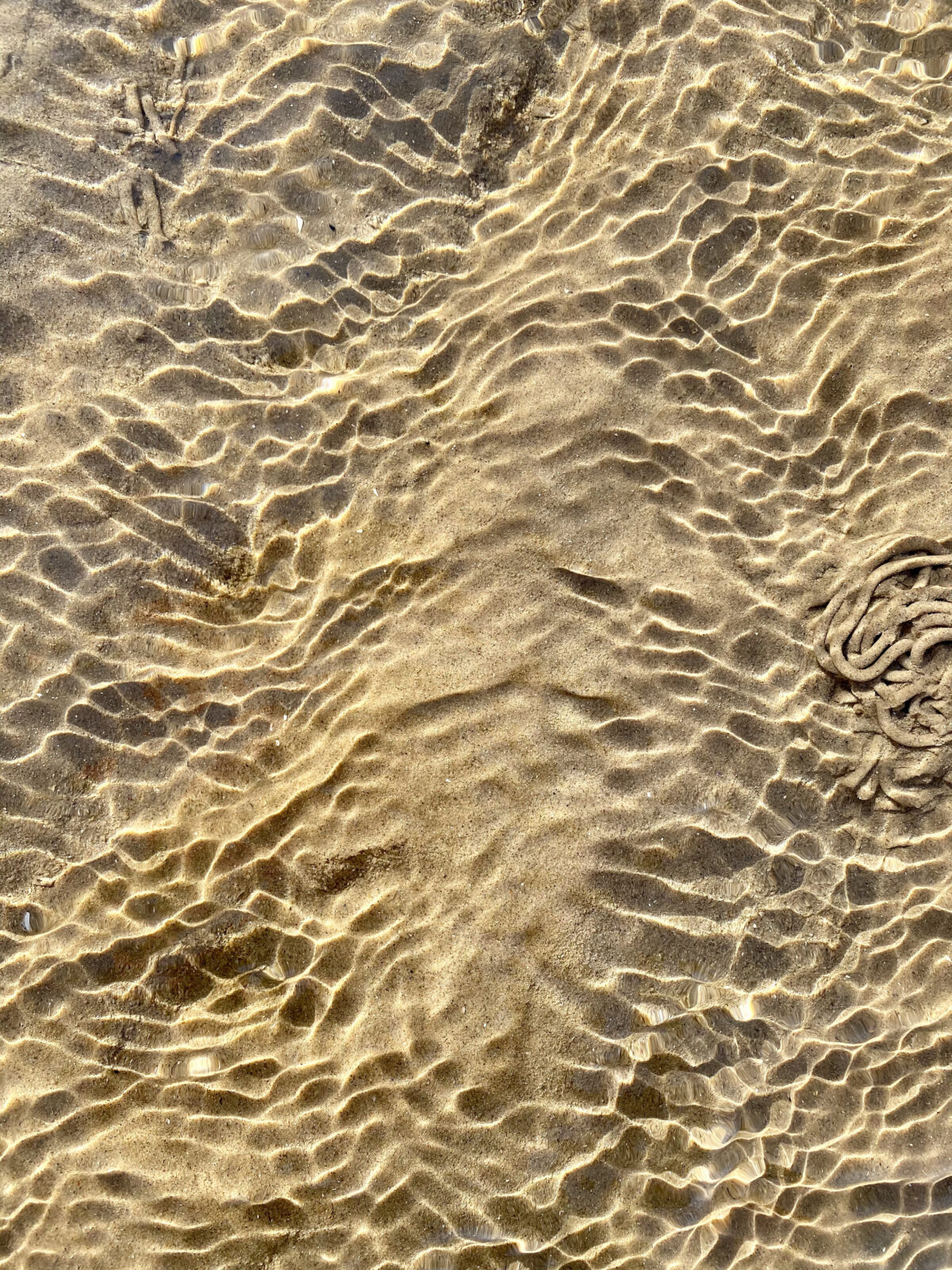 A close up of a sandy beach with ripples in the water reflecting light.