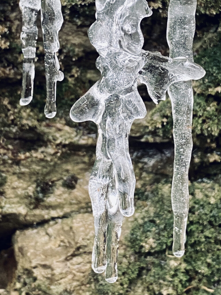 Ice icicles hanging from a rock wall.