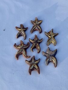 A group of starfish on a white and gold surface.