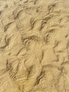 A sandy beach gleaming with water ripples and bathed in vibrant light.