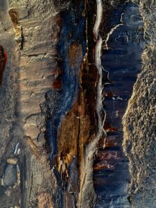 A close-up of a piece of petrified wood with rust on it.