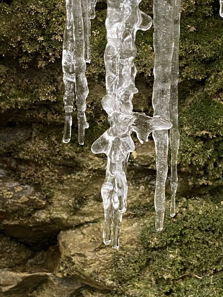 Icicles hanging.