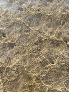 A close up of a sandy beach with ripples in the water, glistening under the light.
