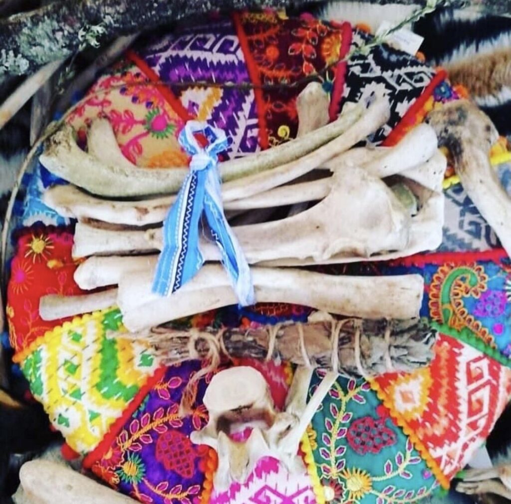 A colorful pillow with bones on it.