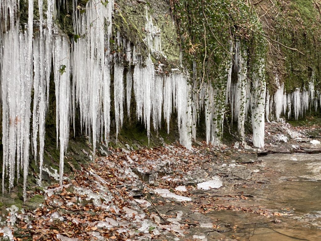 Icicles hanging.