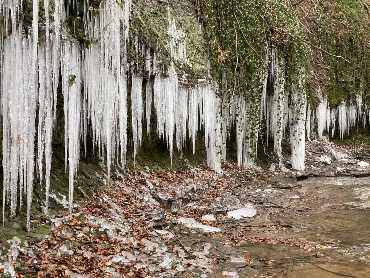 Icicles hanging.