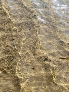 A close up of a sandy beach with ripples in the water, illuminated by light.