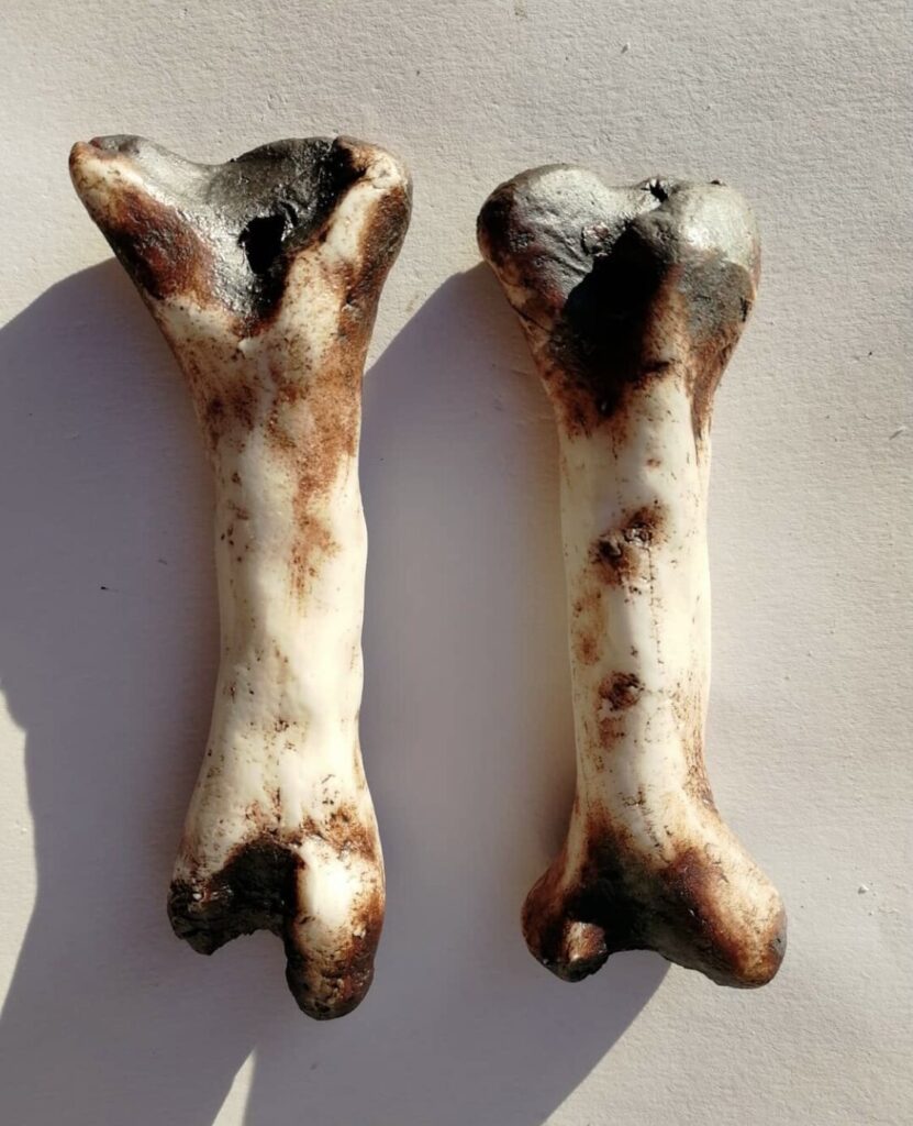 A pair of animal bones on a white surface.