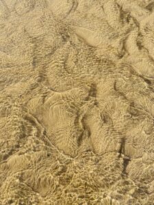 A sandy beach with ripples in the water glistening under the light.
