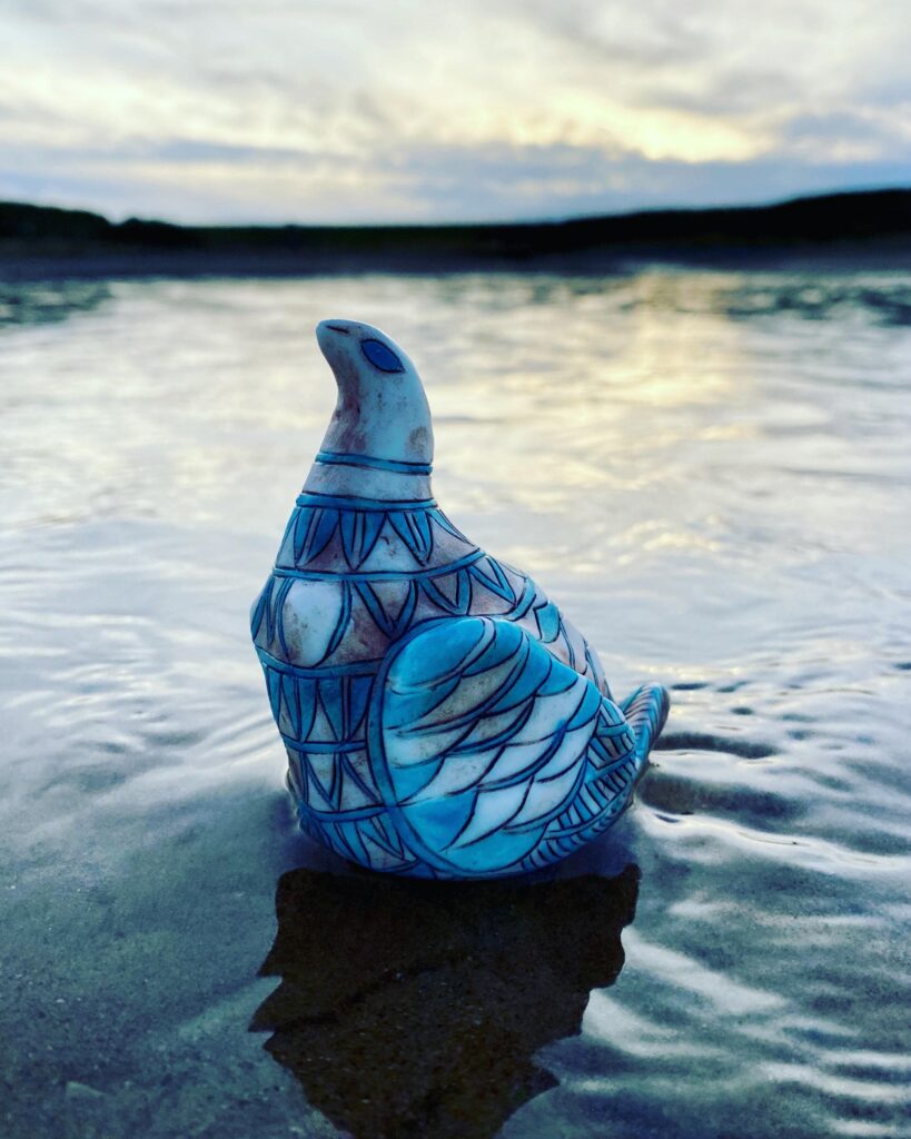 A blue and white bird sitting in the water.