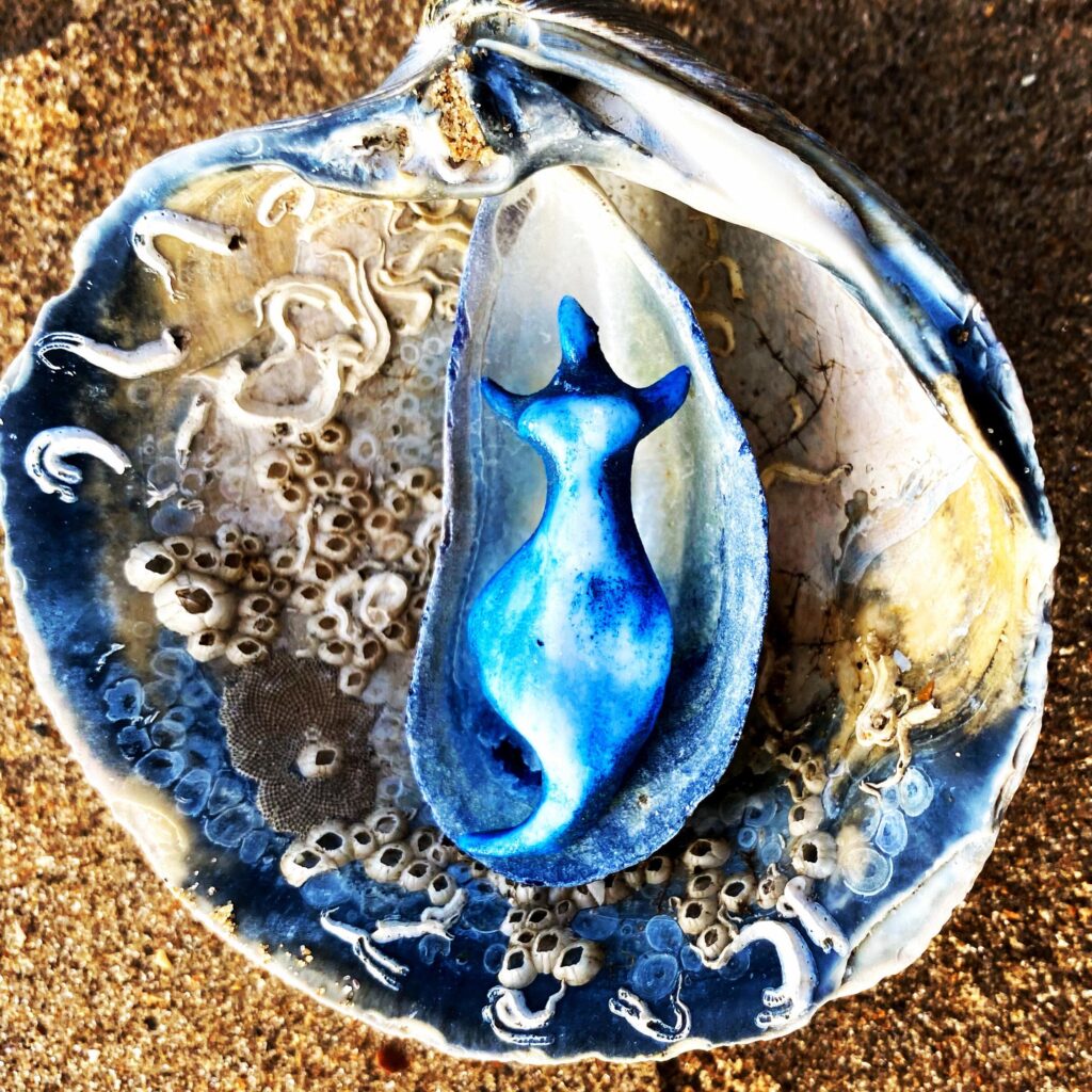 A blue cat is sitting in a shell.