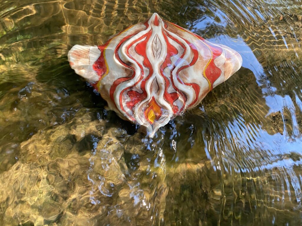 A red and white sting ray floating in the water.