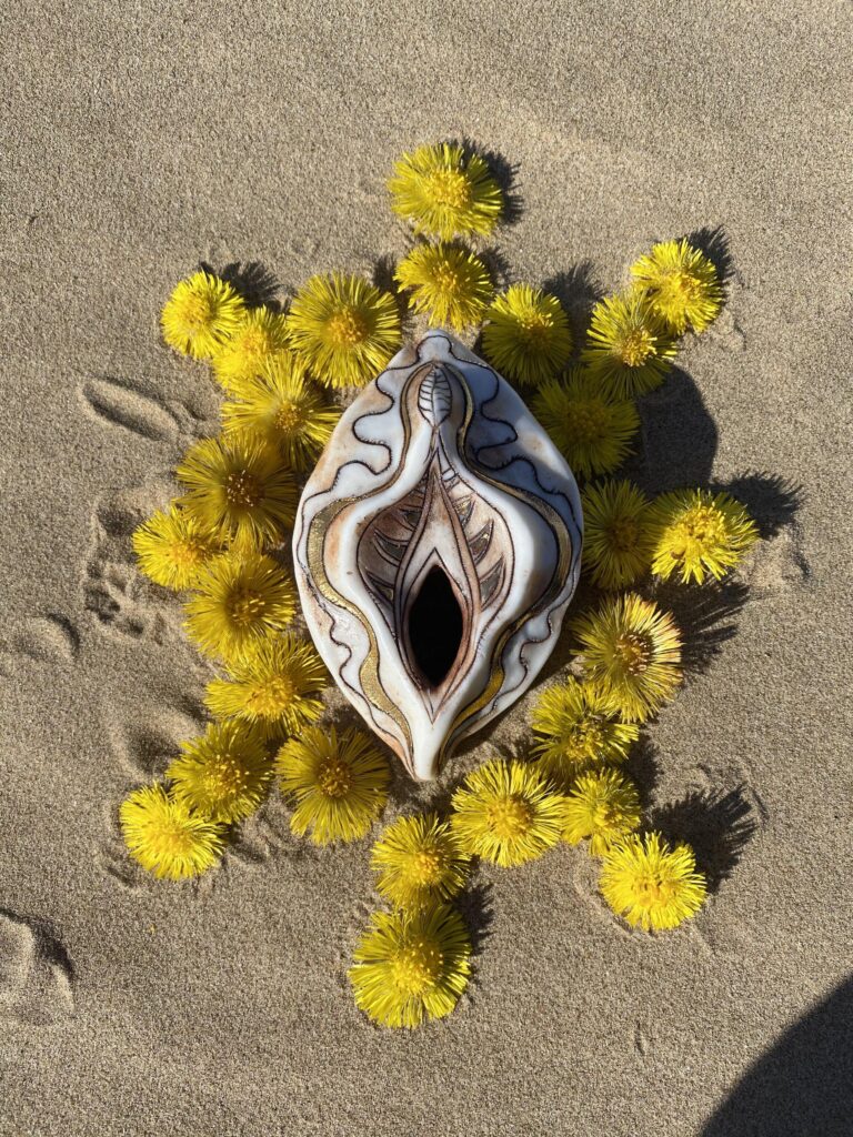 A shell on the sand surrounded by yellow dandelions.