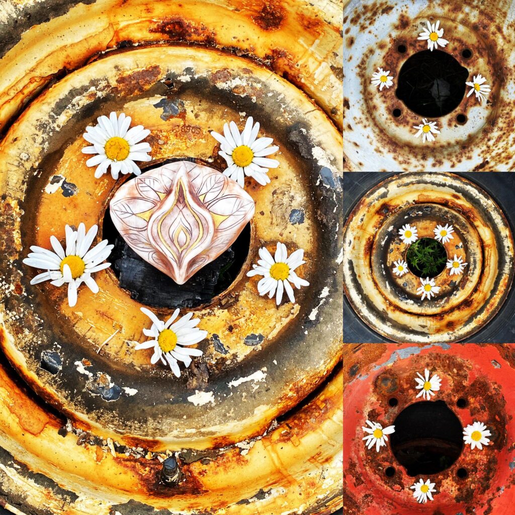 Four pictures of a rusty tire with daisies on it.