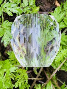 A crystal bead surrounded by green plants.
