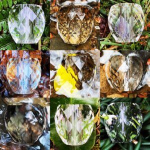 A collage of crystal bead experiments and leaves.