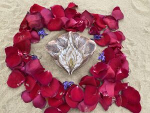 A Yoni Mandala created from red rose petals on the sand.